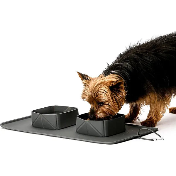 2 in 1 Portable Silicone Folding Pet Bowls & Feeding Mat Set